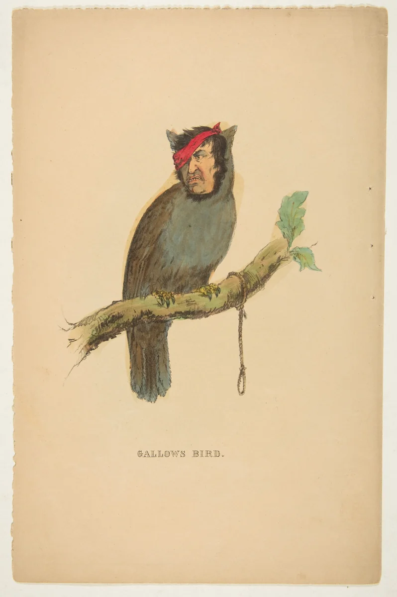 Gallows Bird, from "The Comic Natural History of the Human Race" by Henry Louis Stephens, print, 1851