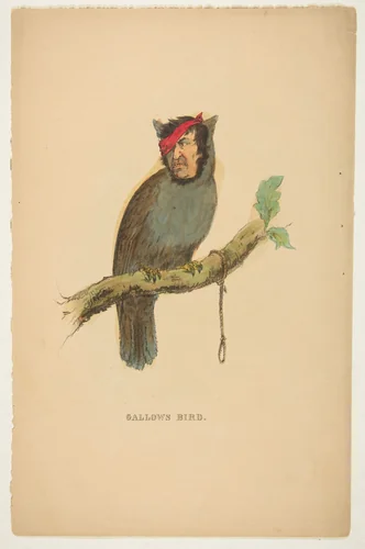 Gallows Bird, from "The Comic Natural History of the Human Race" by Henry Louis Stephens, print, 1851