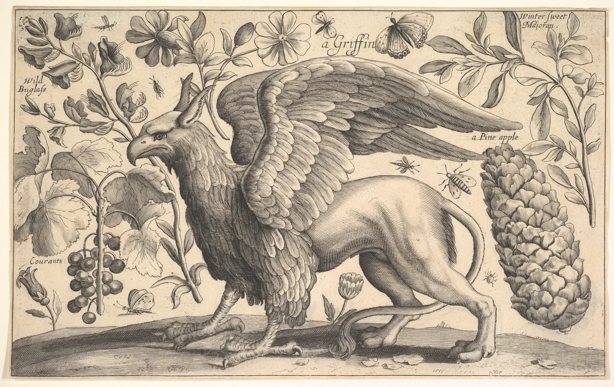 A Griffin by Wenceslaus Hollar, print, 1662-1663