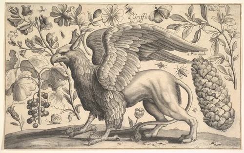 A Griffin by Wenceslaus Hollar, print, 1662-1663