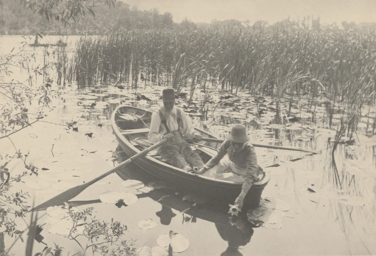 Gathering Water-Lilies by Peter Henry Emerson, photograph, 1886
