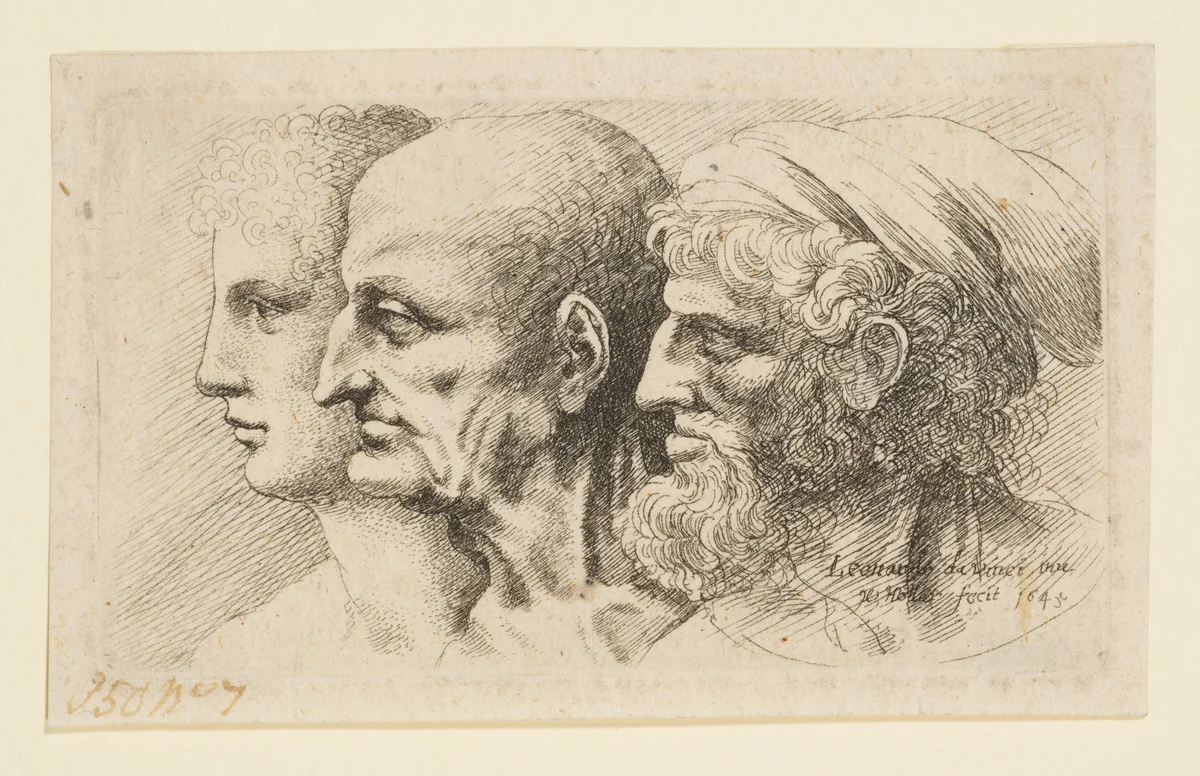 Three Heads in Profile by Wenceslaus Hollar, print, 1645