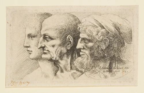 Three Heads in Profile by Wenceslaus Hollar, print, 1645