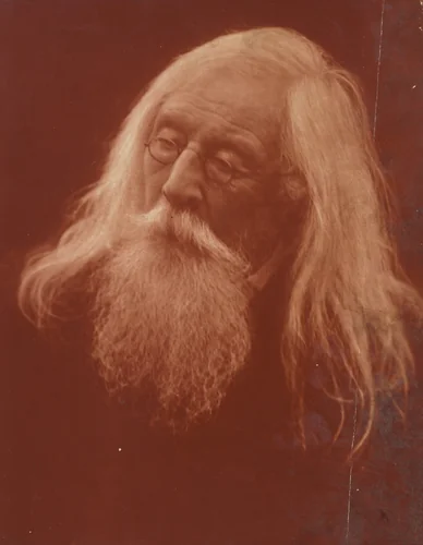 Portrait of Mr. Charles Hay Cameron by Julia Margaret Cameron, photograph, 1871