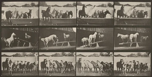 Plate Number 651. A: Bell ringing. B: Teeter board. C: Military drill by Eadweard Muybridge, photograph, 1887