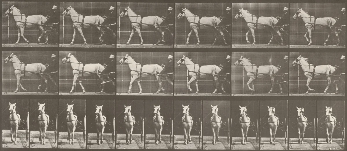 Plate Number 586. "Katydid" walking, harnessed to sulky by Eadweard Muybridge, photograph, 1887