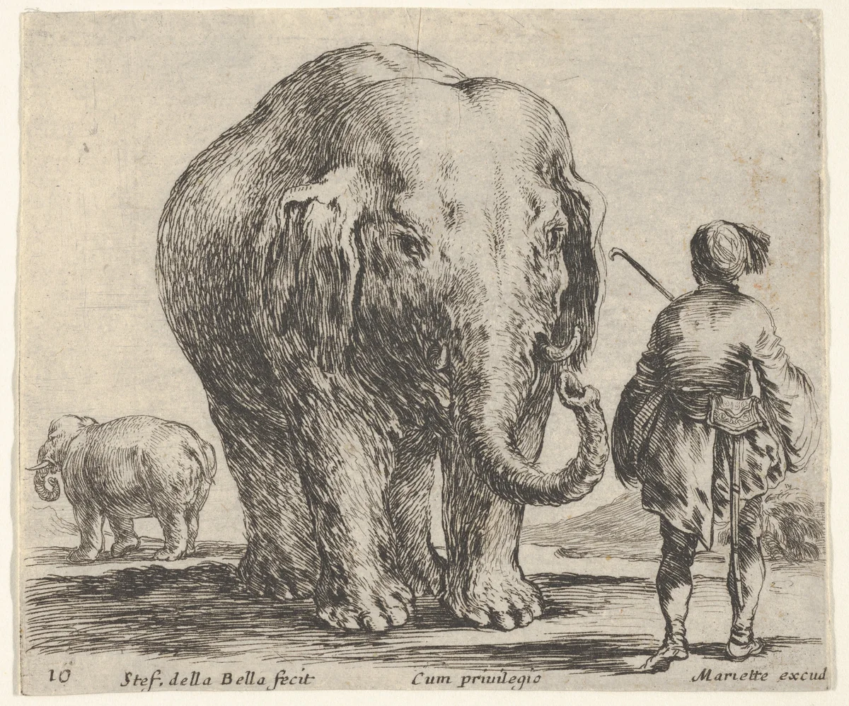 Plate 16: an elephant in center, his mahout standing to the right wearing an Oriental costume, another elephant to left in background, from "Diversi Capricci" by Stefano della Bella, print, 1644-1647