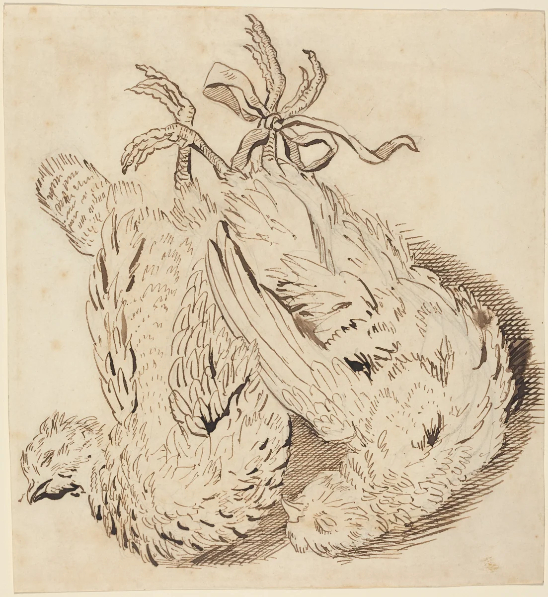 Two Dead Chickens by British 18th Century, drawing, 1700-1799