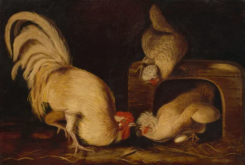 Farmyard Fowls by John James Audubon, painting, 1827