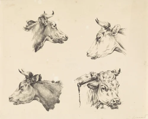 Vier stierenkoppen by Jean Bernard, print, 1809-1833