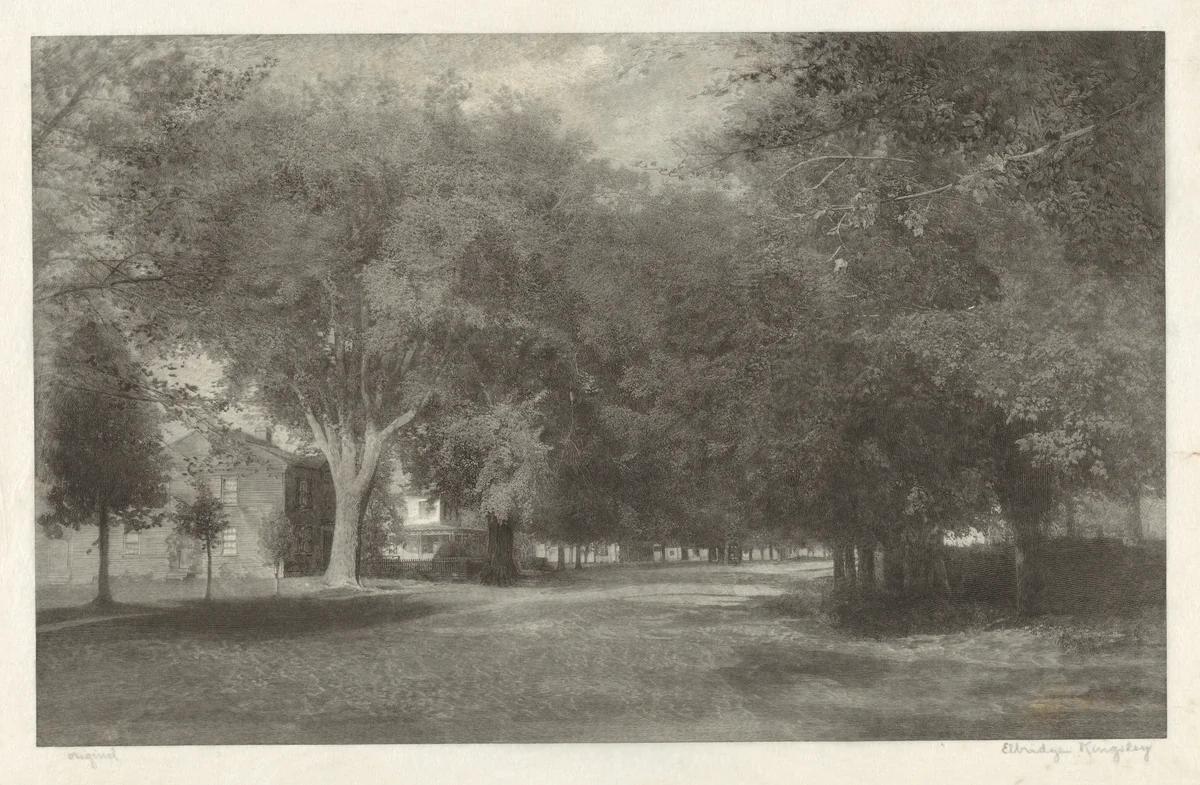 New England Elms by Elbridge Kingsley, print, 1889
