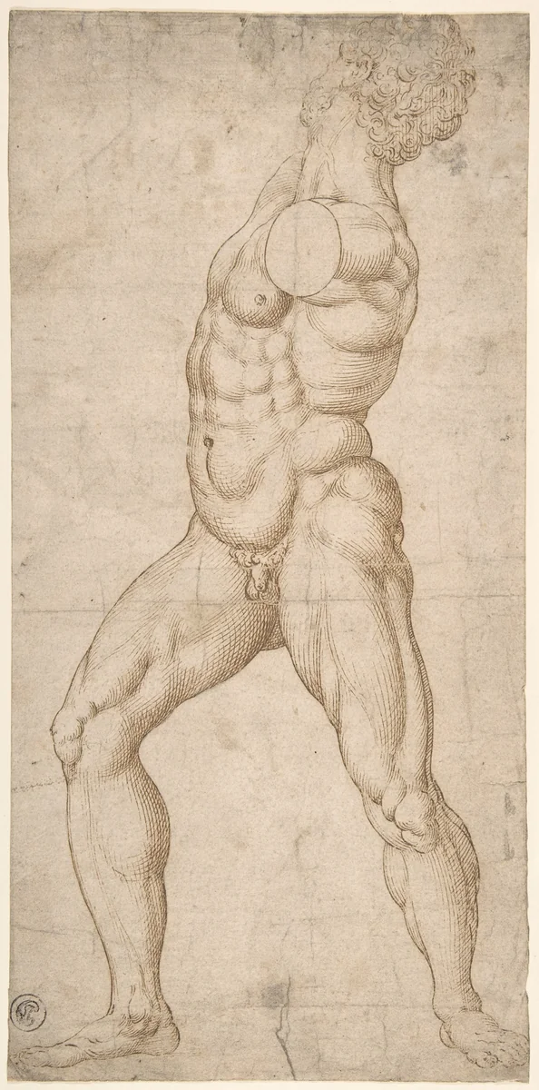 Study of a Standing Male Nude by anonymous, drawing, 1500-1599