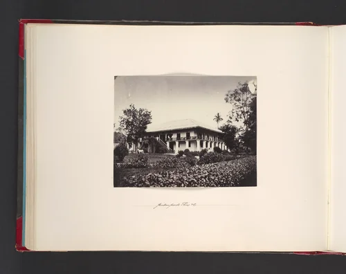 Pickenpack Thies & Co. by John Thomson, photograph, 1865