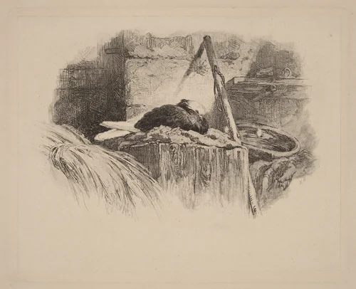 Pigeon sur un nid by Karl Bodmer, print, 1809-1893