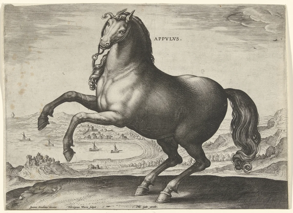 Paard uit Zuid-Italië (Appulus) by Unknown, print, 1578-1582