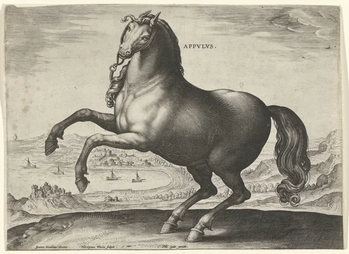 Paard uit Zuid-Italië (Appulus) by Unknown, print, 1578-1582
