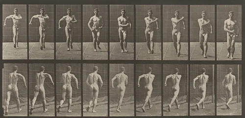 Plate Number 3. Walking by Eadweard Muybridge, photograph, 1887