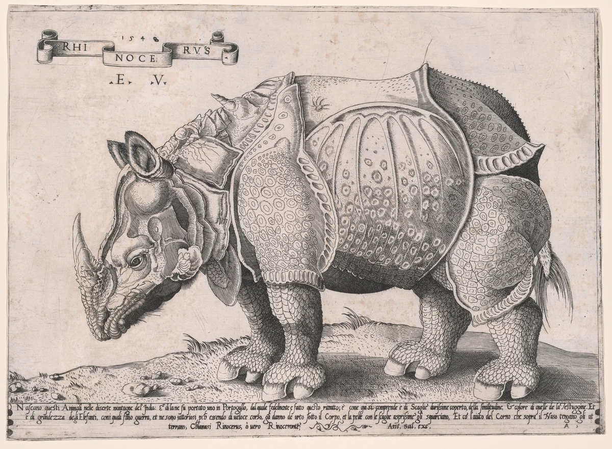 Rhinoceros by Enea Vico, print, 1542