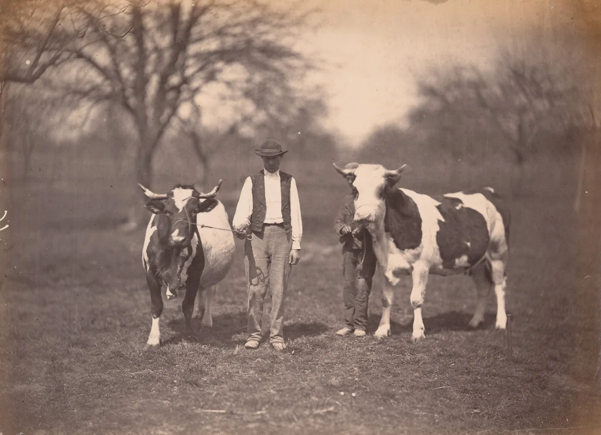 Landscape by Adolphe Braun, photograph, 1859-1869