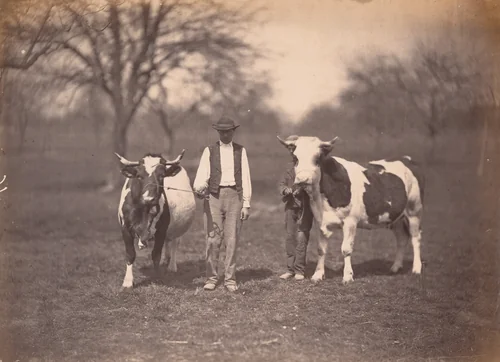 Landscape by Adolphe Braun, photograph, 1859-1869