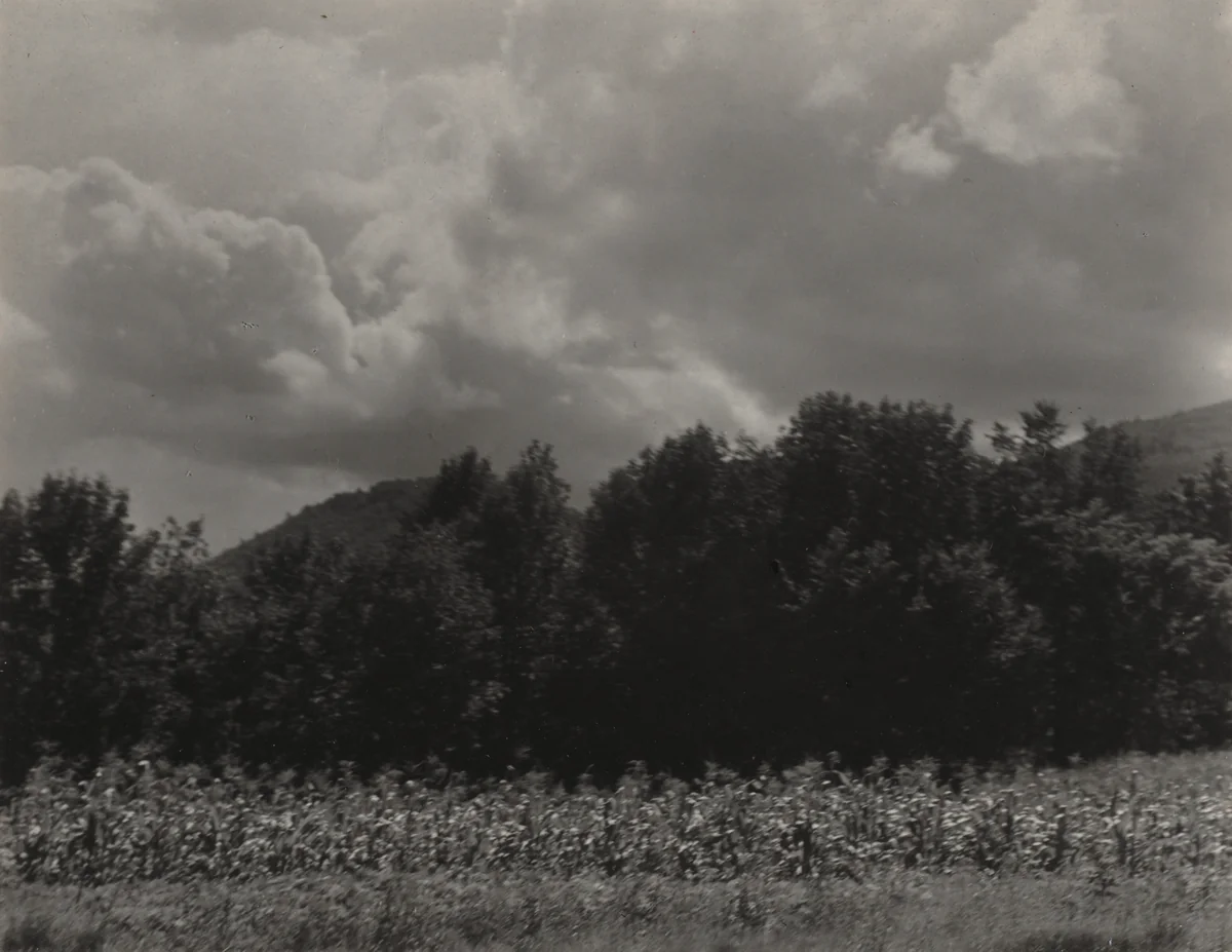 Lake George by Alfred Stieglitz, photograph, 1931