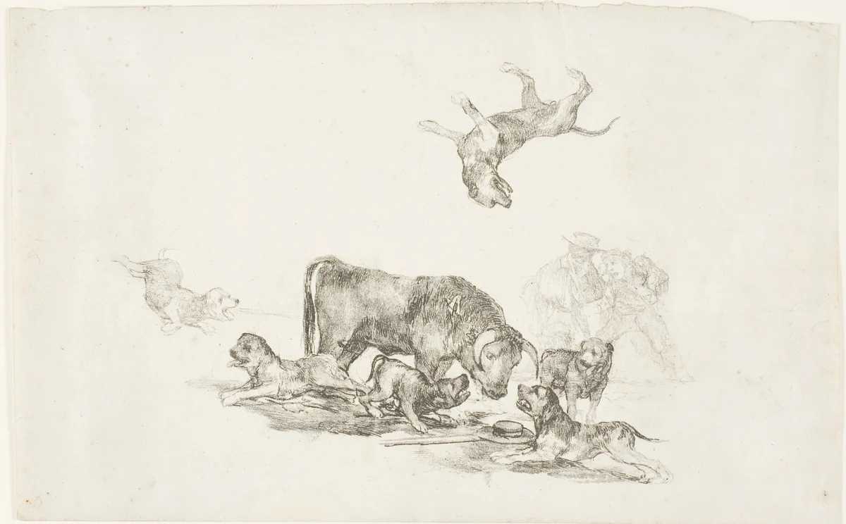Bull Attacked by Dogs by Francisco José de Goya, print, 1824-1825