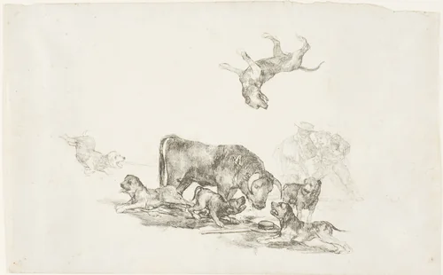 Bull Attacked by Dogs by Francisco José de Goya, print, 1824-1825