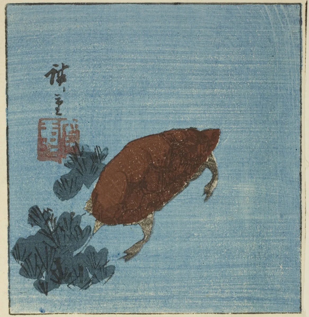Turtle by Utagawa Hiroshige (歌川広重), print, 1840-1849