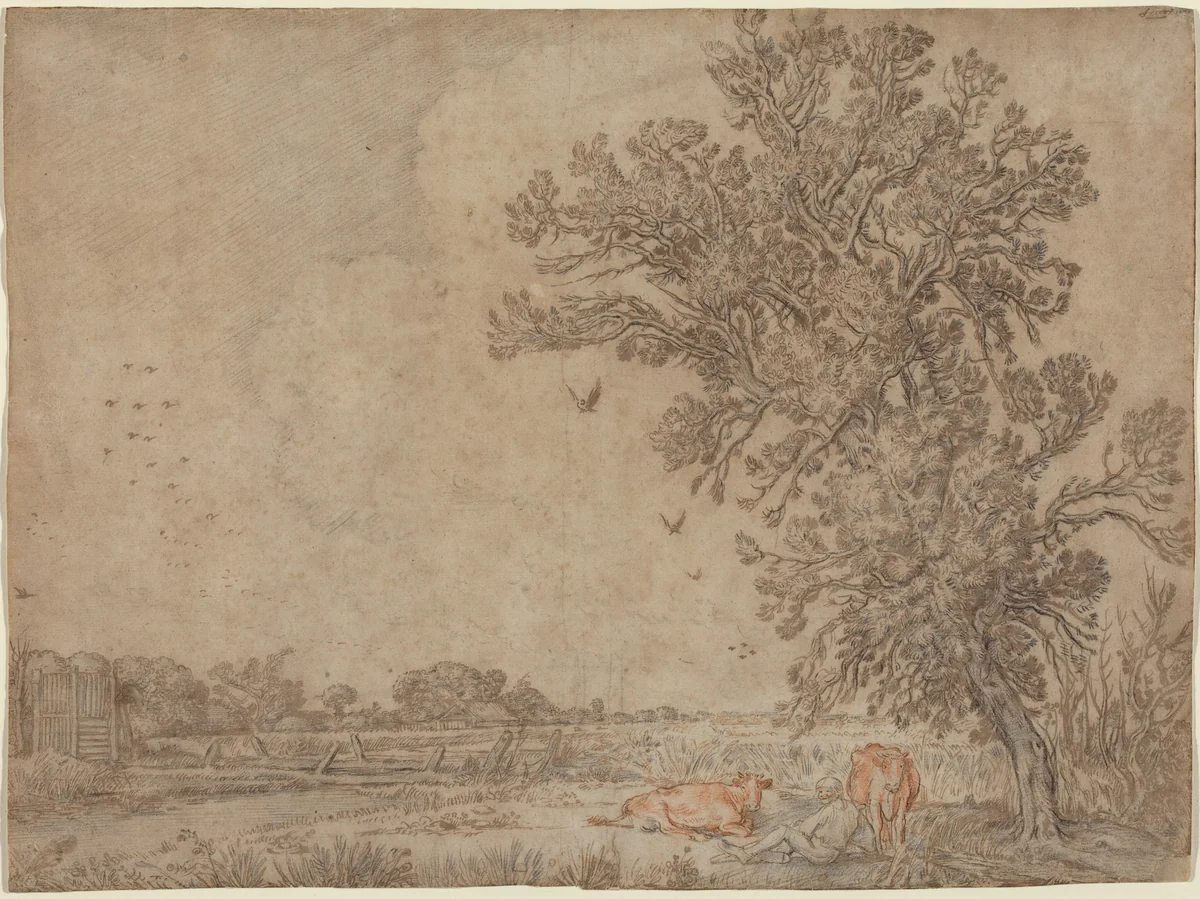 Meadow with a Shepherd and Cows by Willem Buytewech, drawing, 1617