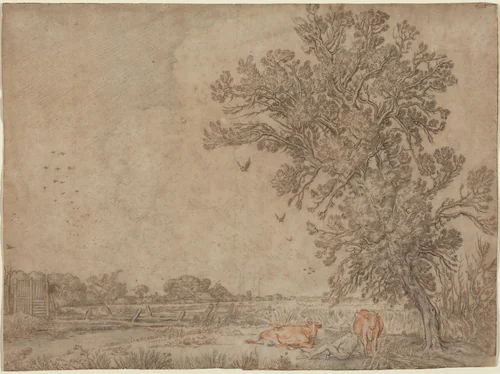 Meadow with a Shepherd and Cows by Willem Buytewech, drawing, 1617