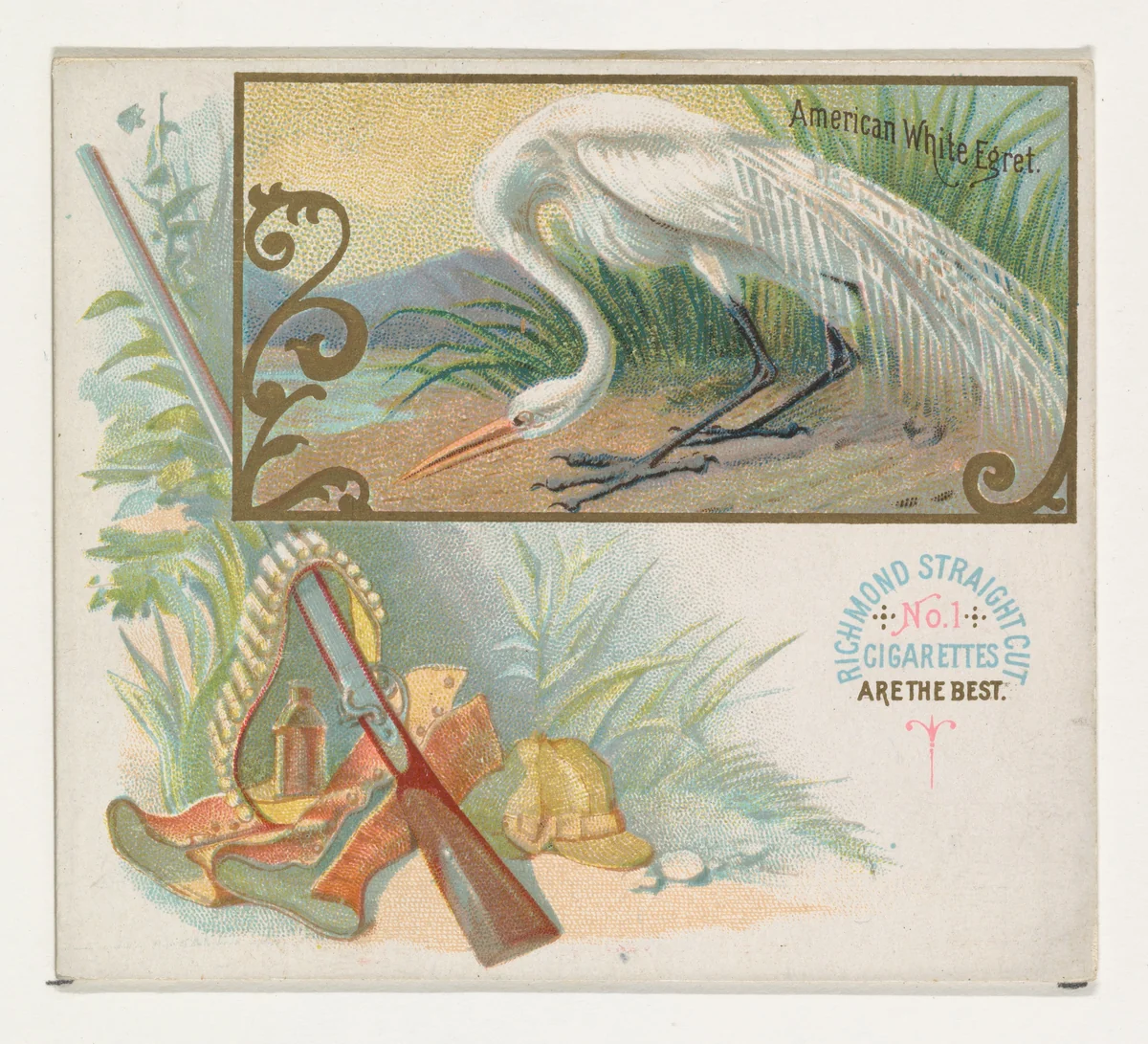 American White Egret, from the Game Birds series (N40) for Allen & Ginter Cigarettes by Allen & Ginter, print, 1888-1890