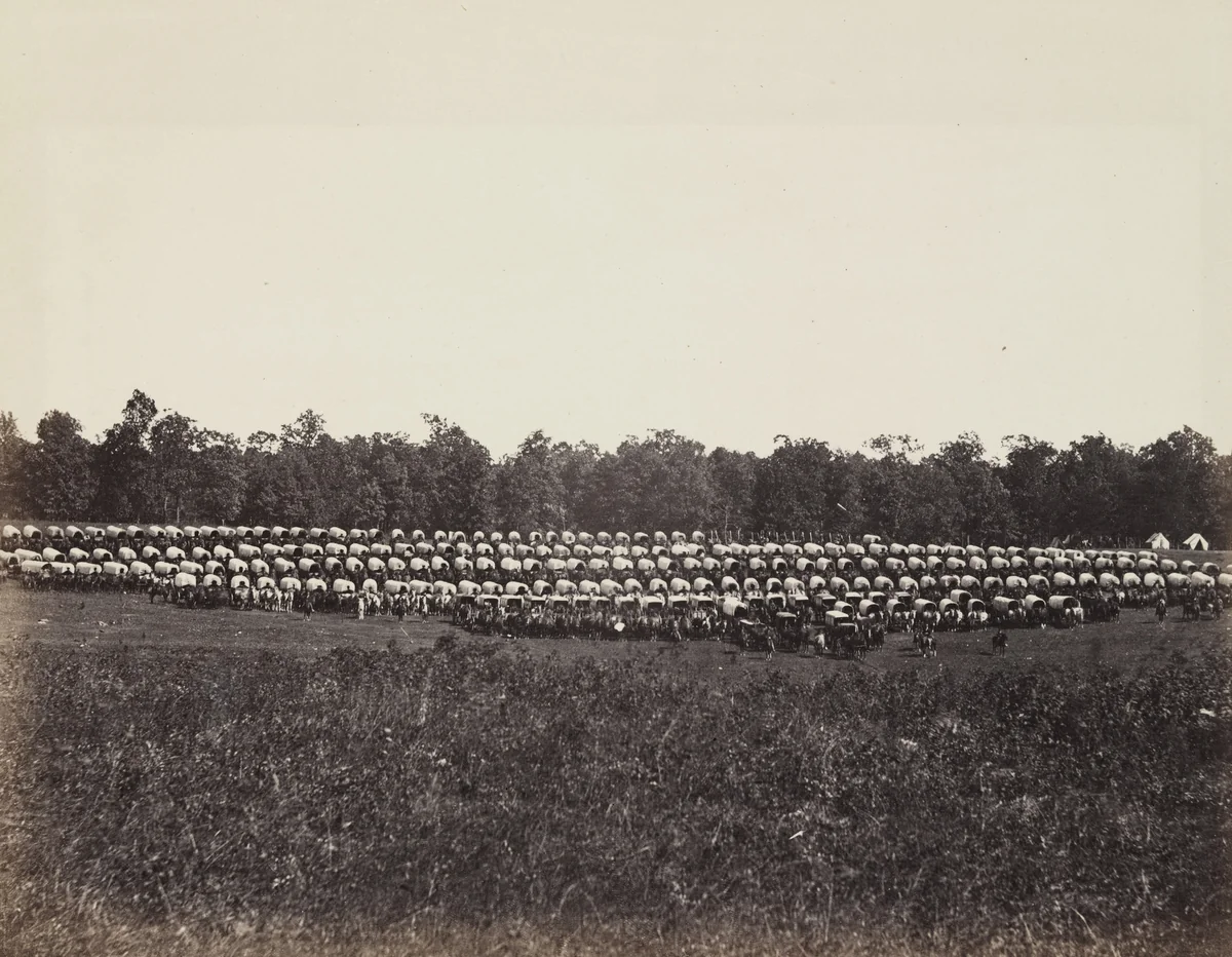 Wagon Park, Brandy Station, Virginia by Timothy O'Sullivan, Alexander Gardner, photograph, 1863