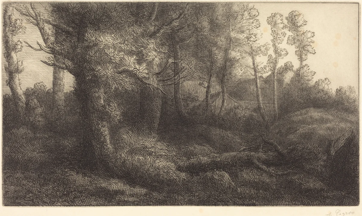 In the Forest (Lisiere de foret) by Alphonse Legros, print, 1837-1911