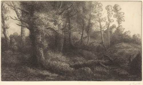 In the Forest (Lisiere de foret) by Alphonse Legros, print, 1837-1911