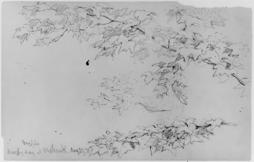 Maple Leaves, 1871 (from Sketchbook) by Daniel Huntington, artwork, 1870