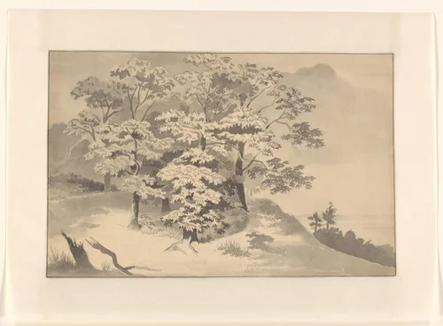 Bomengroep in een landschap by Johannes van Reijn, drawing, 1800-1900