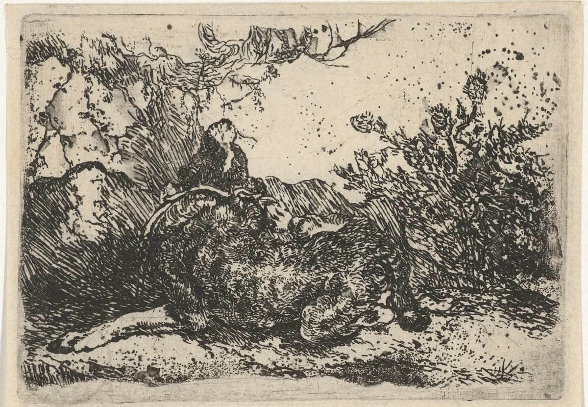 Hond by Joannes Fijt, print, 1621-1661