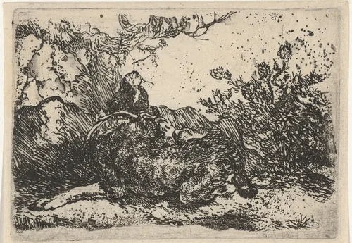 Hond by Joannes Fijt, print, 1621-1661