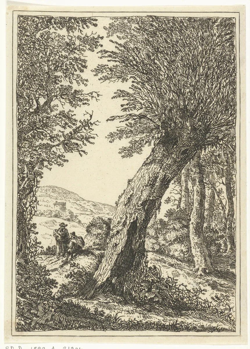 Wilgenboom by William Young Ottley, print, 1828