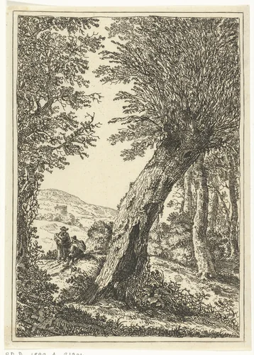 Wilgenboom by William Young Ottley, print, 1828