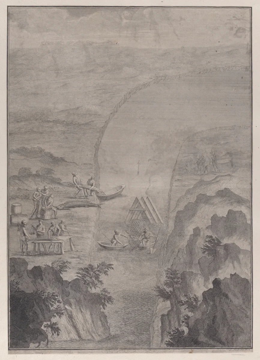 Men fishing with nets in a river, from 'Danubius Pannonico-Mysicus' (Volume 3) by Jacob Houbraken, print, 1726