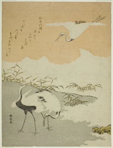 Cranes at the Sea Shore by Suzuki Harunobu (鈴木春信), print, 1763-1770