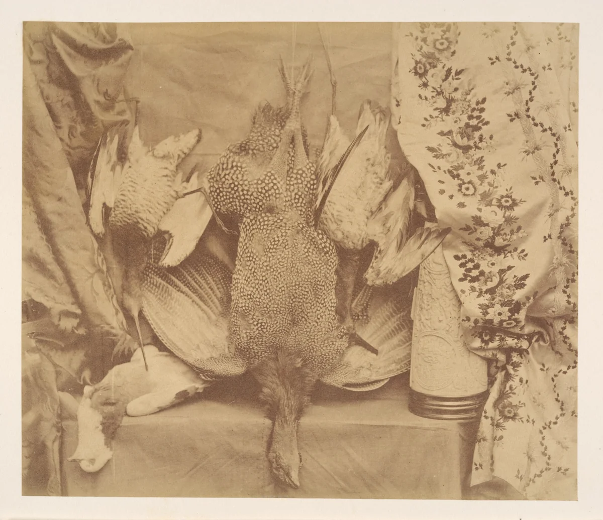 Still Life and Embroidery by Robert Lutwidge, photograph, 1856