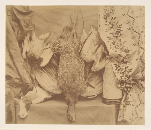 Still Life and Embroidery by Robert Lutwidge, photograph, 1856