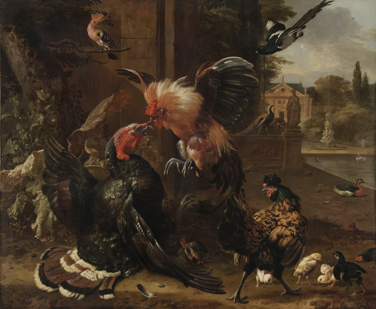 A Rooster and Turkey Fighting by Melchior de Hondecoeter, painting, 1675-1685