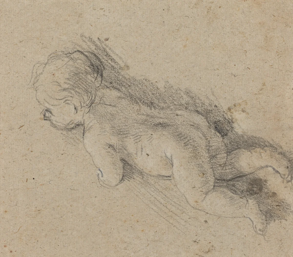 Baby [verso] by Baldassare Franceschini, drawing, 1655-1659