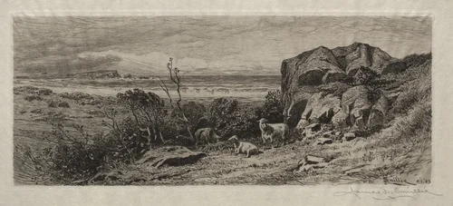 A Bit on Marblehead Neck by James David Smillie, print, 1883