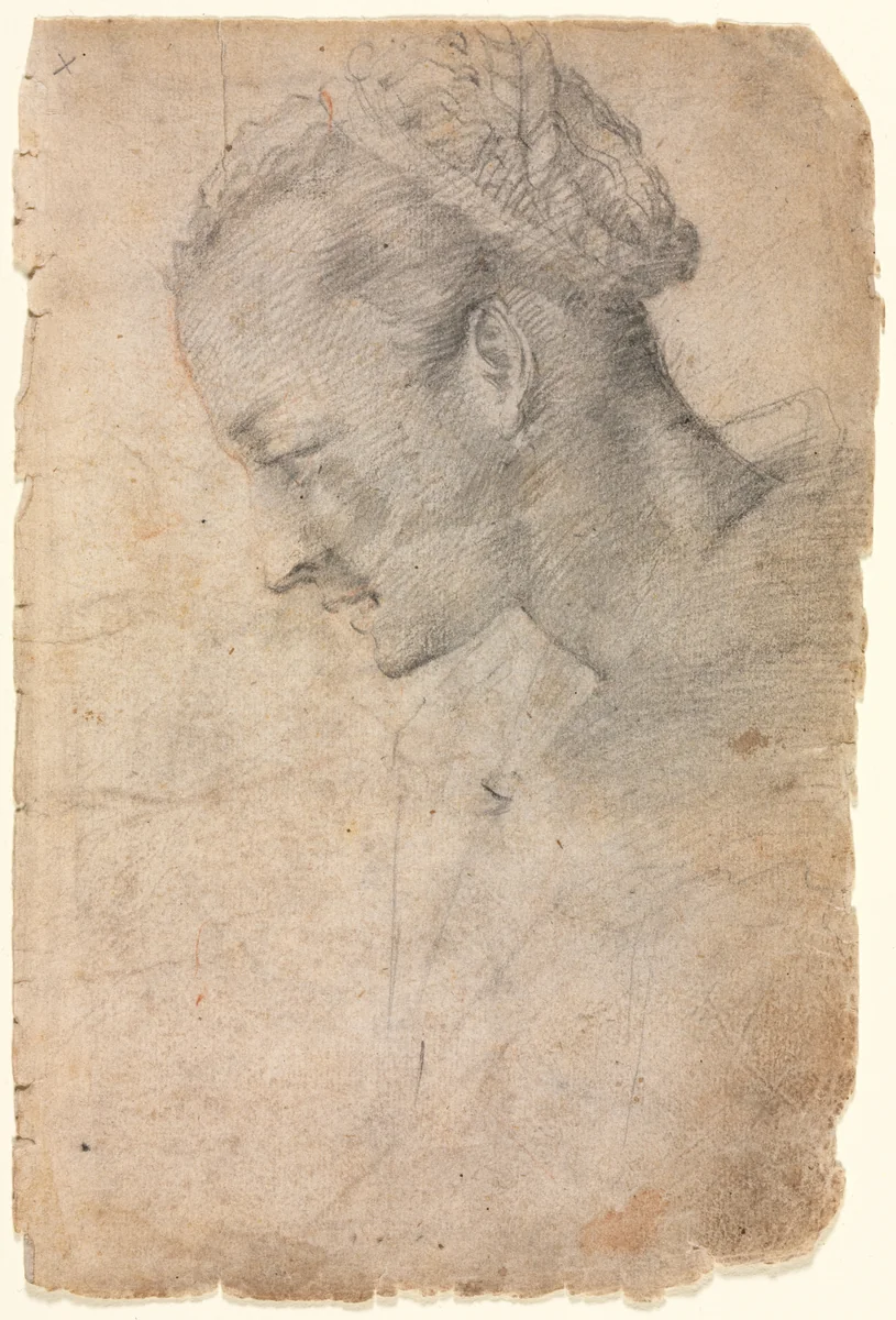 Profile of a Woman's Head (recto) by Alessandro Casolani, drawing, 1550-1600