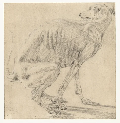 Zittende hond, zich ontlastend, van opzij gezien by Frans Snijders, drawing, 1589-1657