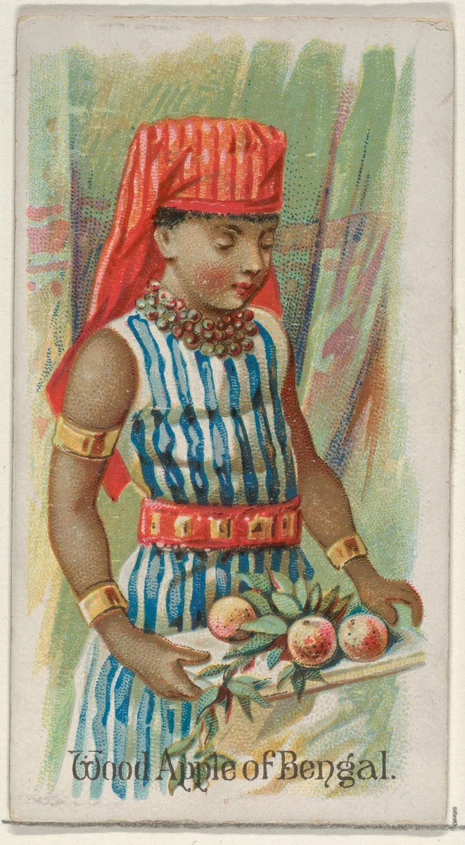 Wood Apple of Bengal, from the Fruits series (N12) for Allen & Ginter Cigarettes Brands by Allen & Ginter, print, 1891